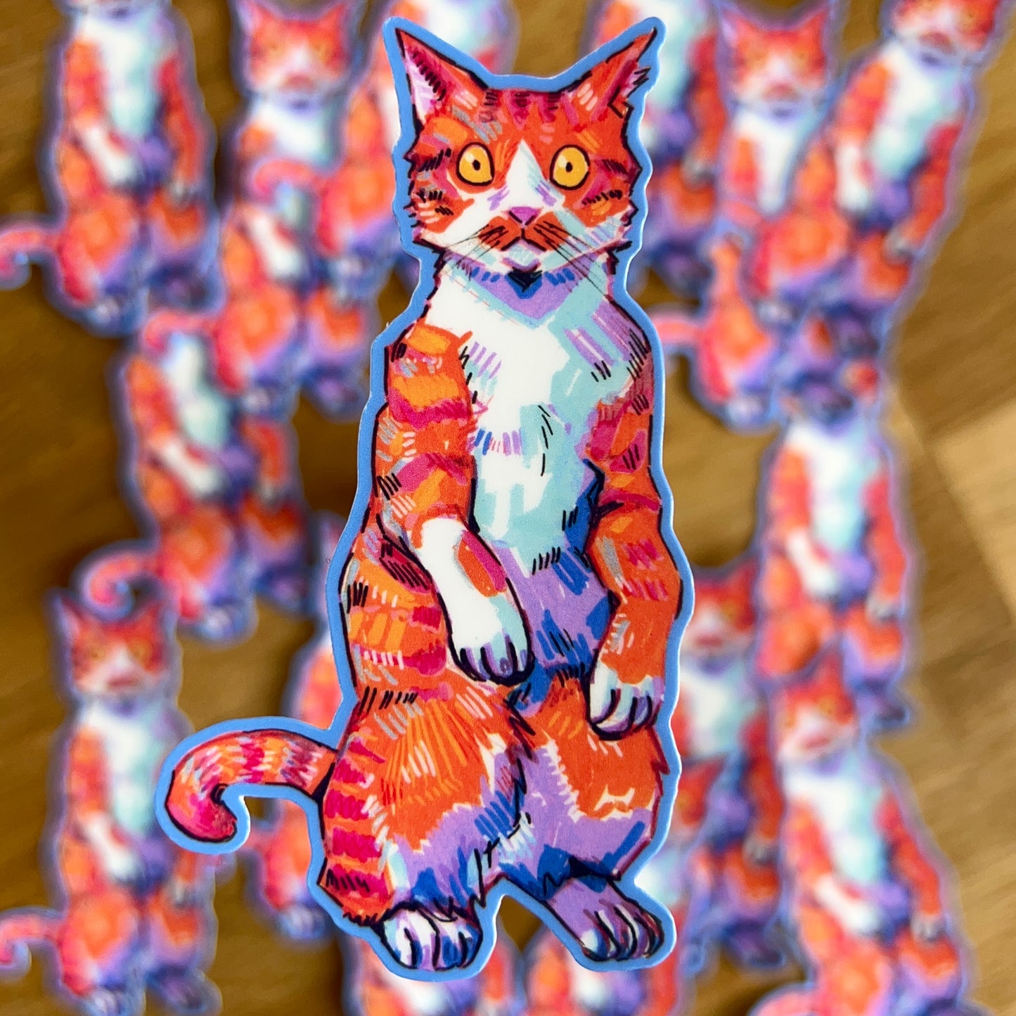 Colourful Cats: What?!!