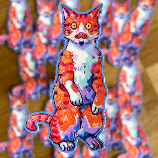 Colourful Cats: What?!!