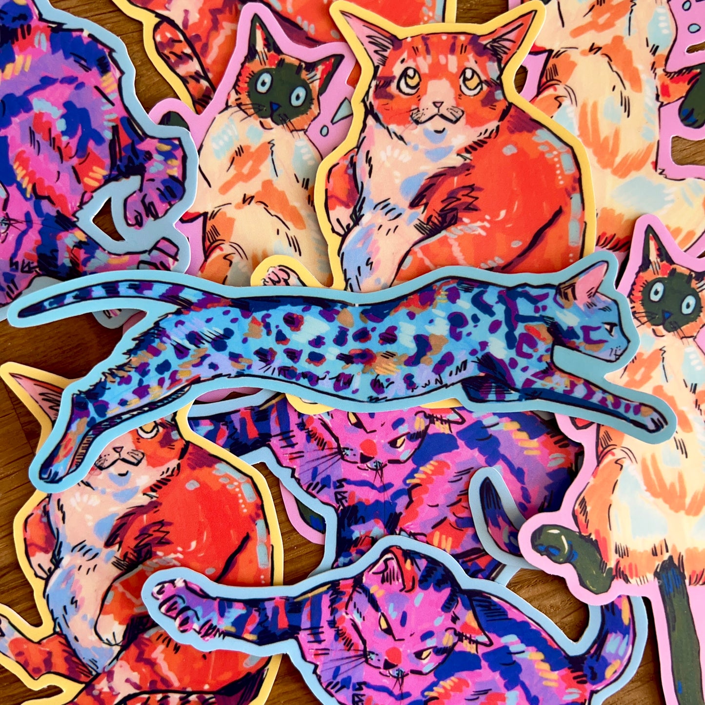 Colourful Cats: The Collection