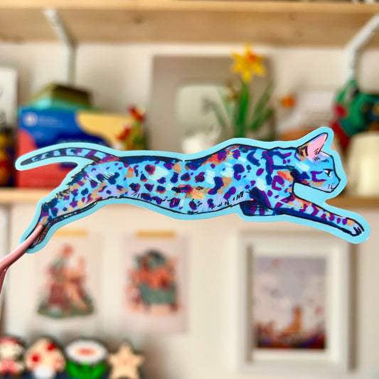 Colourful Cats: Jump