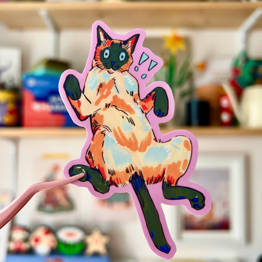 Colourful Cats: Surprise!!