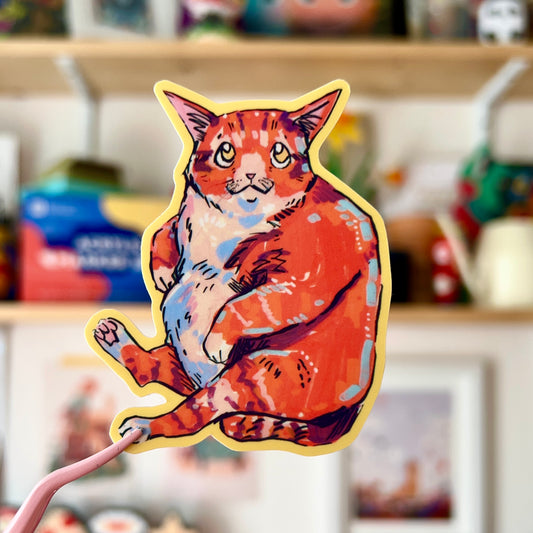 Colourful Cats: Chonk
