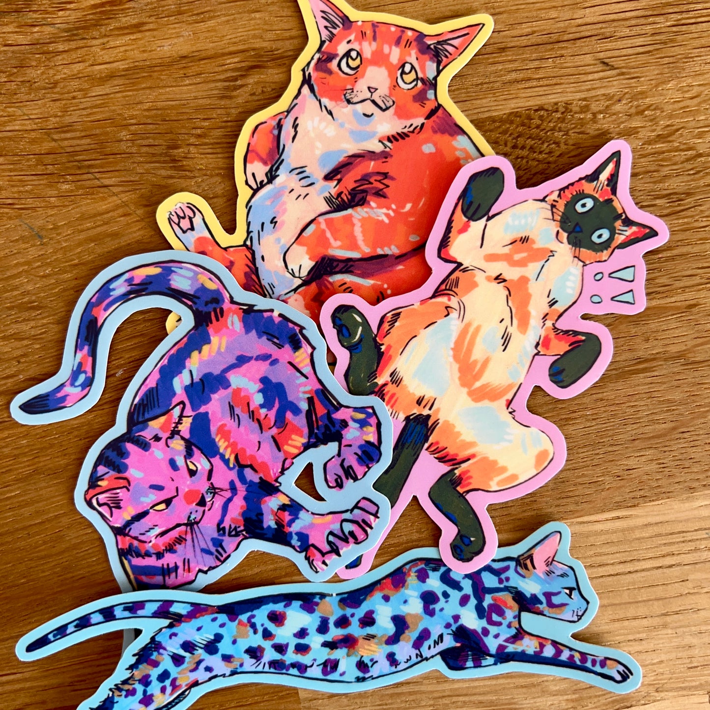 Colourful Cats: The Collection