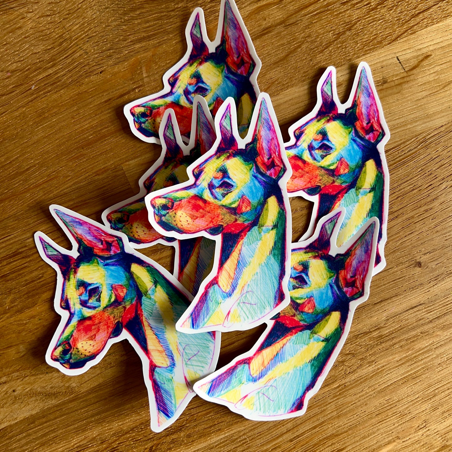 Colourful Dogs: a very good boy
