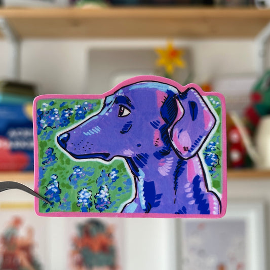 Blue Lacy