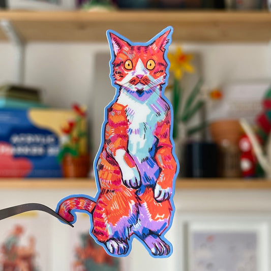Colourful Cats: What?!!