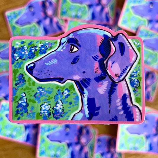 Blue Lacy