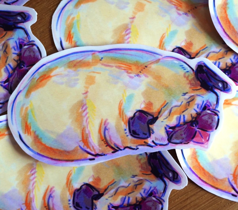 Pugtato (pure potato)